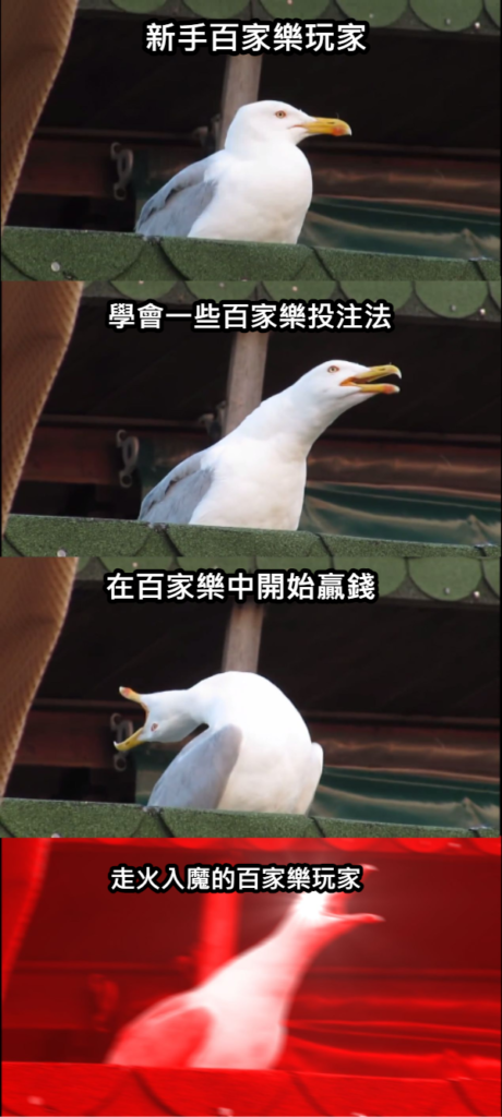 真人百家樂,夢幻娛樂城,DG娛樂城,百家樂技巧,百家樂投注法